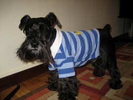 toby